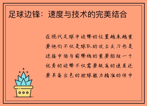足球边锋：速度与技术的完美结合