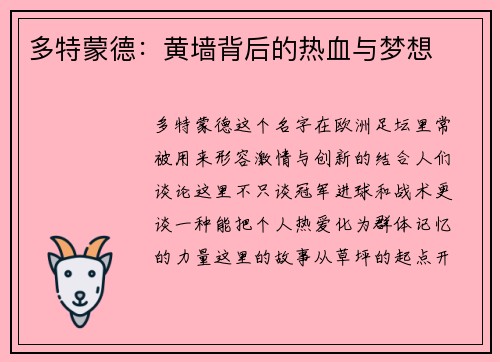 多特蒙德：黄墙背后的热血与梦想
