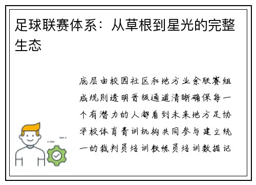 足球联赛体系：从草根到星光的完整生态